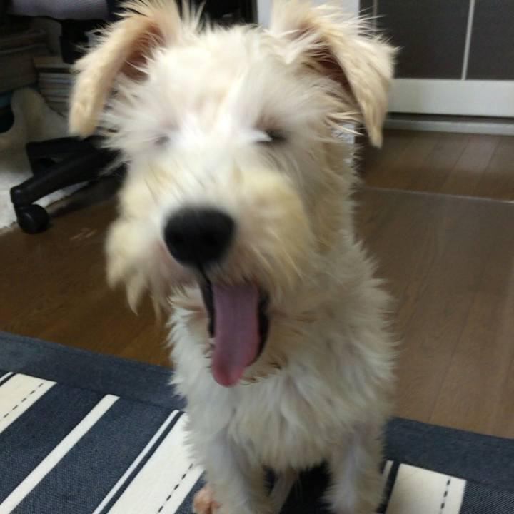 A0286f3c 7e40 4b5c 8d79 35fb6b2c4305