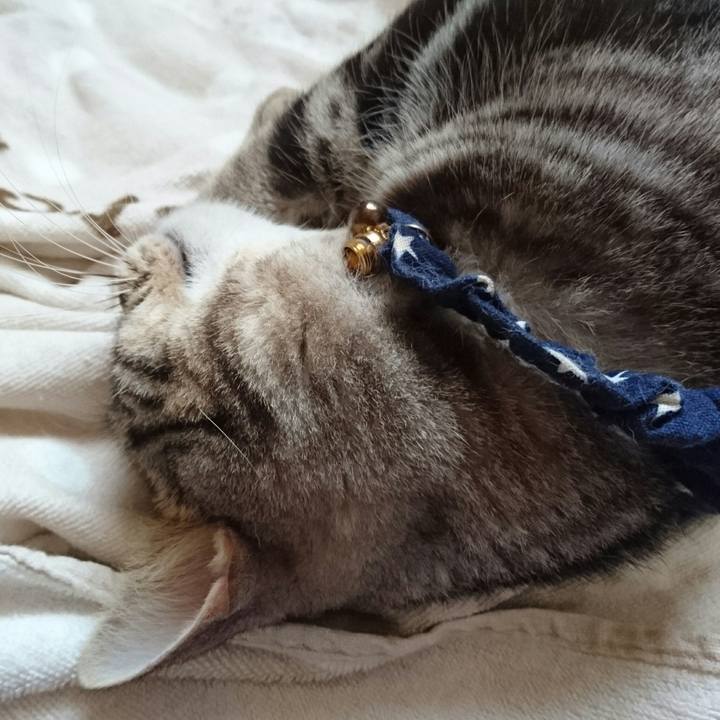 A0297e99 0627 4fb3 89c8 b633f37f843c