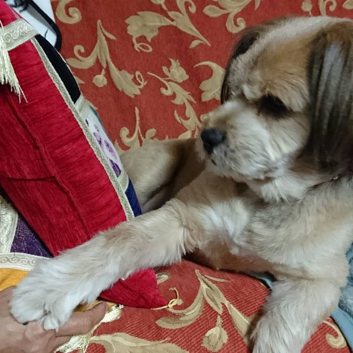 A029b49f 0949 4938 a821 439cd2b1bf77