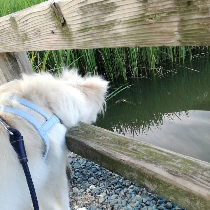 A02b40de 20fc 4599 8a74 c701484dec3e