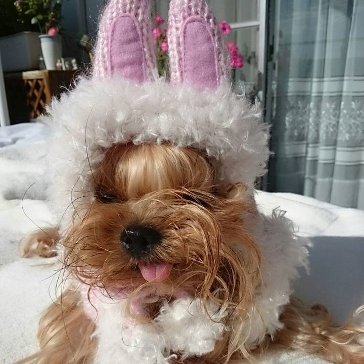 A02bb5cc 135a 45ba bc2f 8cc423338214