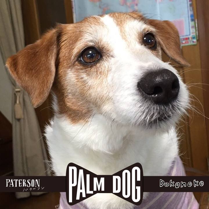 A02bd141 0550 45cd b848 ad98fab84e9c