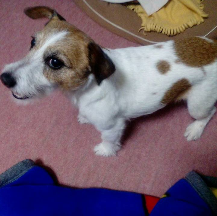 A02cc065 ab64 4399 abd2 264aa3fc83d1