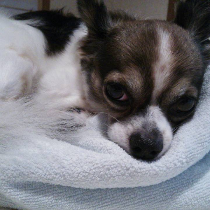 A02d05c3 c171 4cbb b227 4af9ba87b9f5