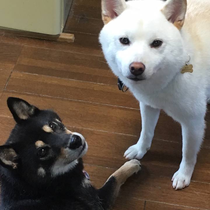 A02d1e2f 03e5 49f5 b434 5a06ad0a39b3