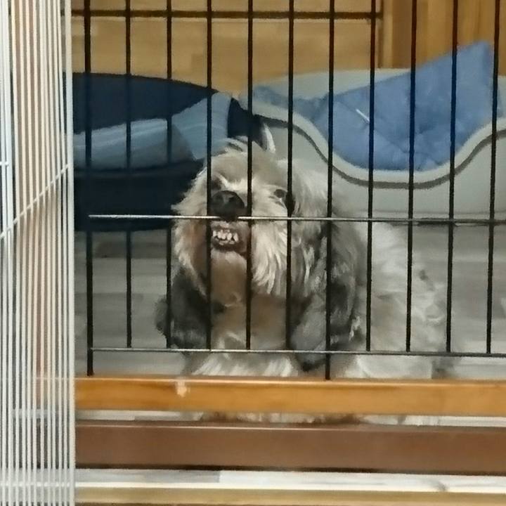 A02d48fa 39c6 497e 9469 b37d7243364a