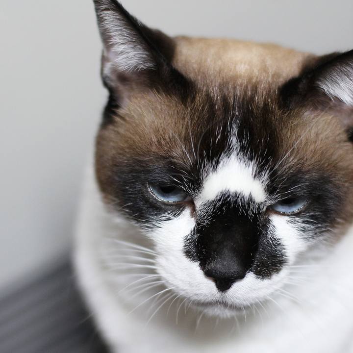 A02deb0c 6879 4cac b983 b6ce786d6fb2