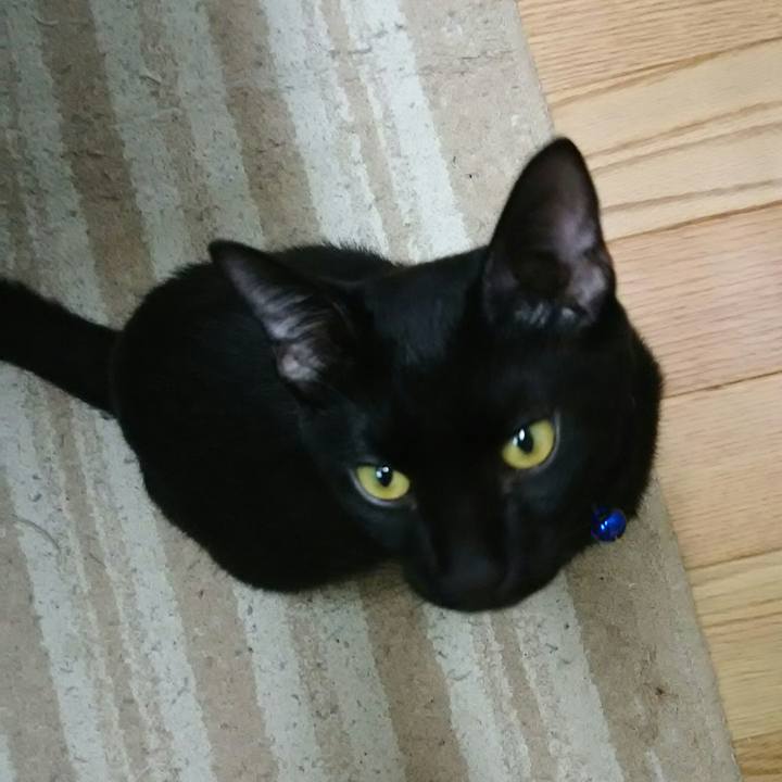 A02e728d 5ca6 4d0f 8741 a7f86ca8660e