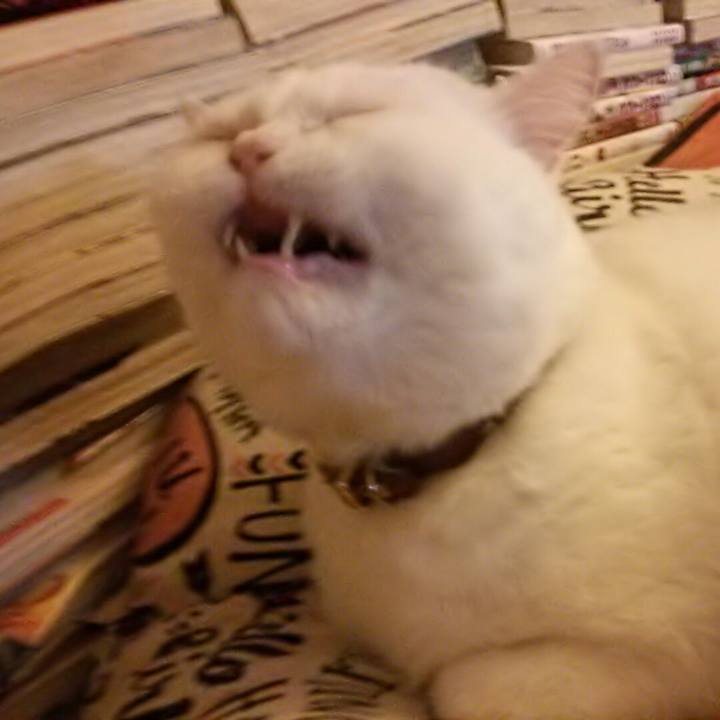 A02ead34 8107 4736 b5a8 e706b8bc5787