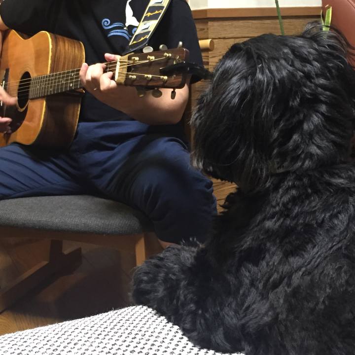 A02f2421 fa4f 4ef5 9b0e e8e10ee8e67a