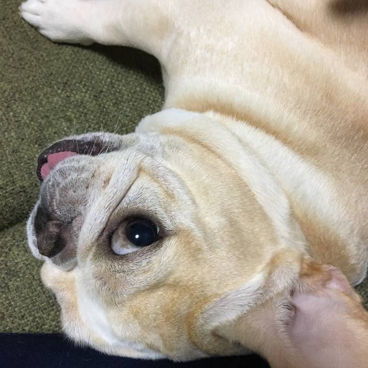 A02f3bea ee91 4f1d 9b9e bbdf9a1d1951