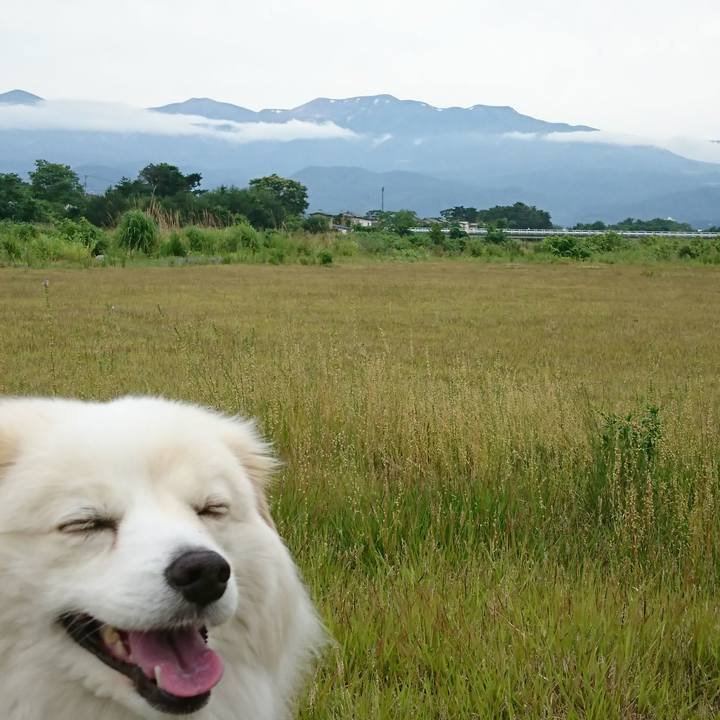 A02f6d80 591a 4ea1 ba16 d8aa94194b73