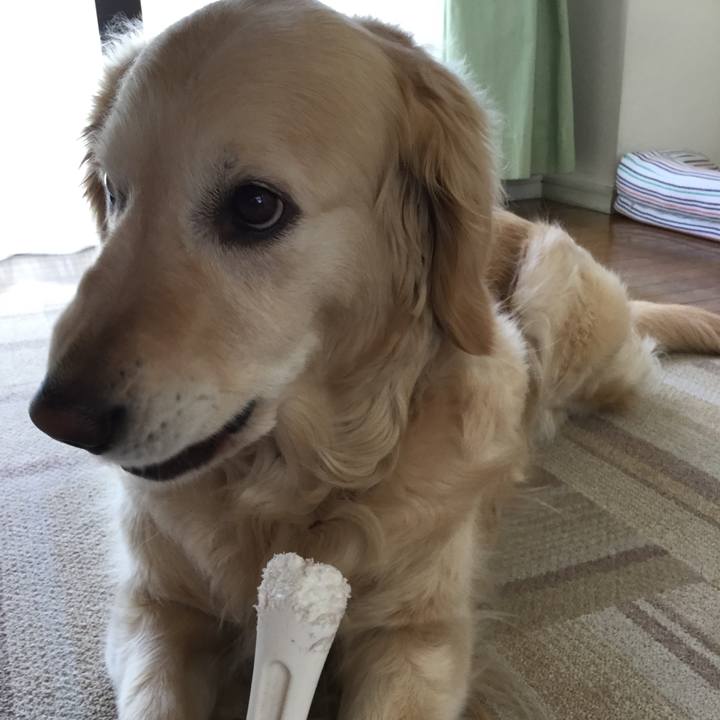 A02f6f6a 4174 4533 b9fd c3325f0ba4ec