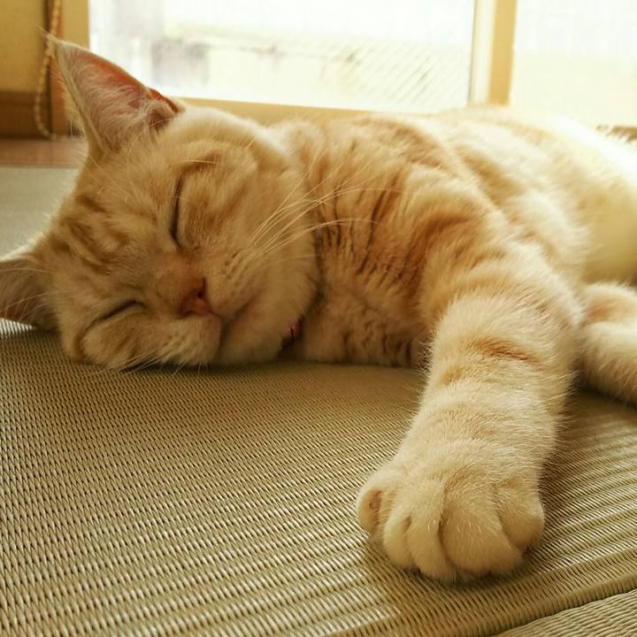 A02f8e7f 41e1 4140 ad3d 0538aa0d7523