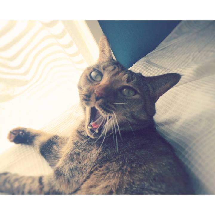 A02fd661 10c8 4478 9f4a e7554136af7d