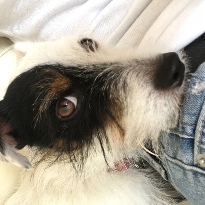 A030027e 1f2c 47e8 a230 8aa03563f5b3