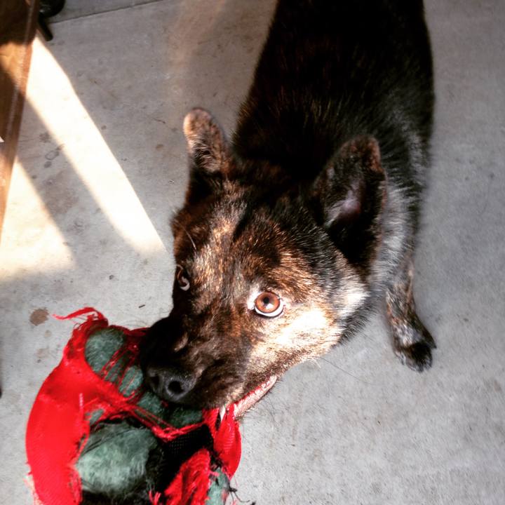 A030d334 2d07 4fe7 a5e2 69bea15724e5