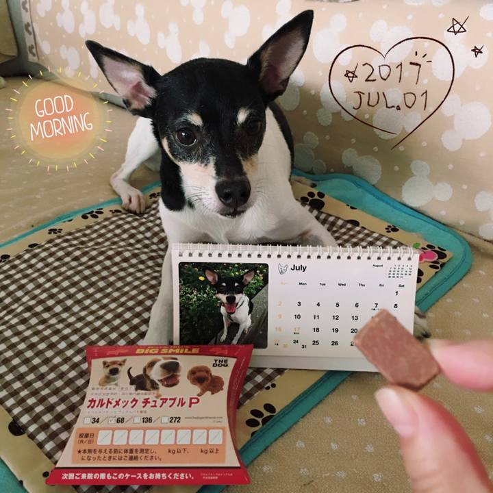 A0314884 0c34 42c9 910c eec11b4035f8