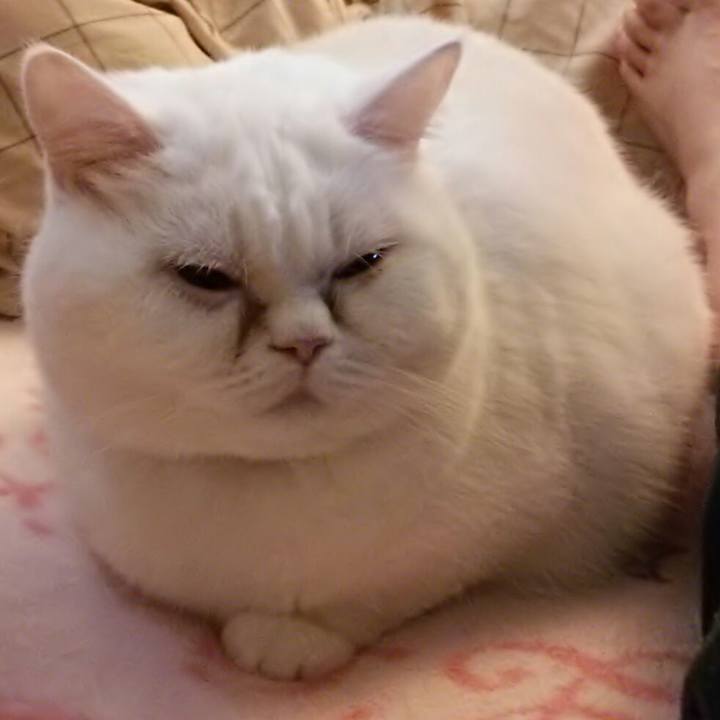 A0315c13 5983 4f4f bbd6 347da2be6dd8