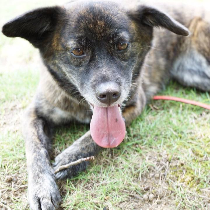 A0322b5c a671 4e06 a98f 2bb6218b02ad