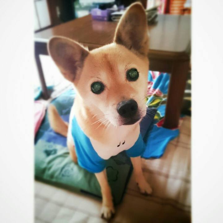 A0323f37 d23b 4733 bb57 03882d4cb85f