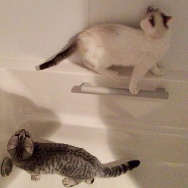 A032612a 9c5e 41b0 92dd 2baf485e2a5f