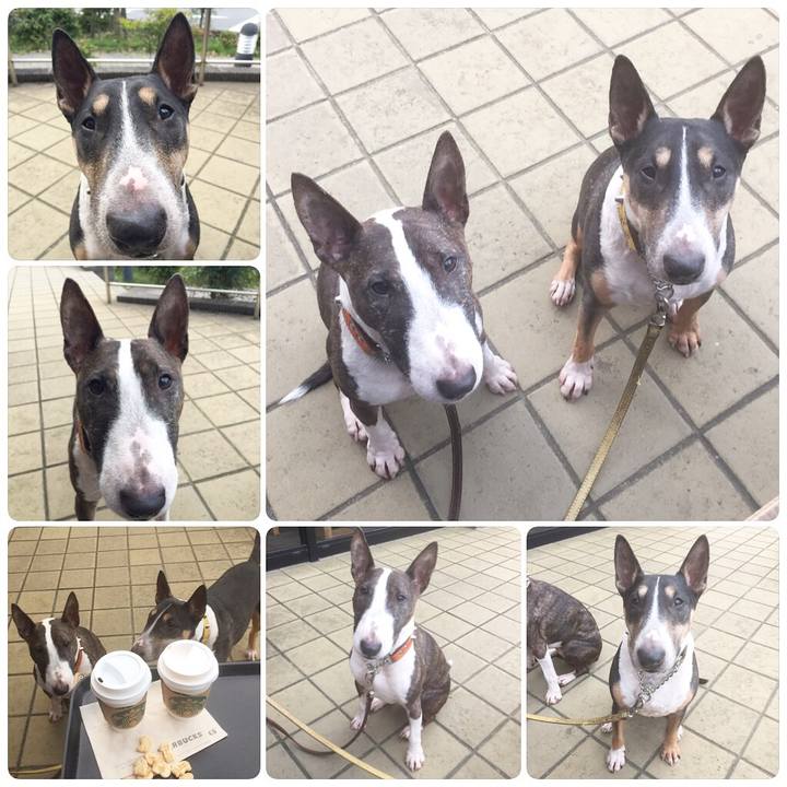 A032d4f5 091e 43c3 b00b d9f057c4cfec