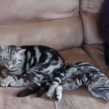 A0340b09 20b1 4f99 898e 3c317e2c1617