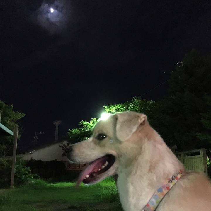 A03475d7 23b4 4581 89f0 fe8cececa2d2