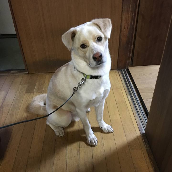 A0353df8 0418 4fac a87e 8164a540e011