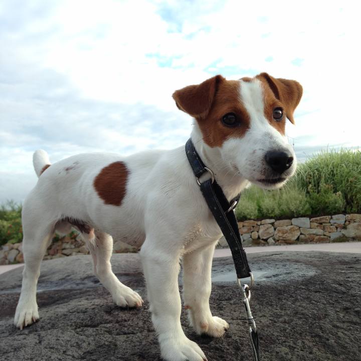 A0357871 348d 4f21 b410 8140985209fc