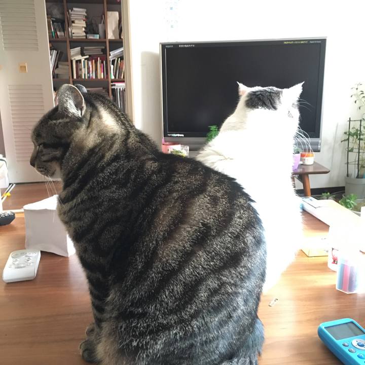 A0363570 a8a1 44be 9c26 eaec20ccd59a