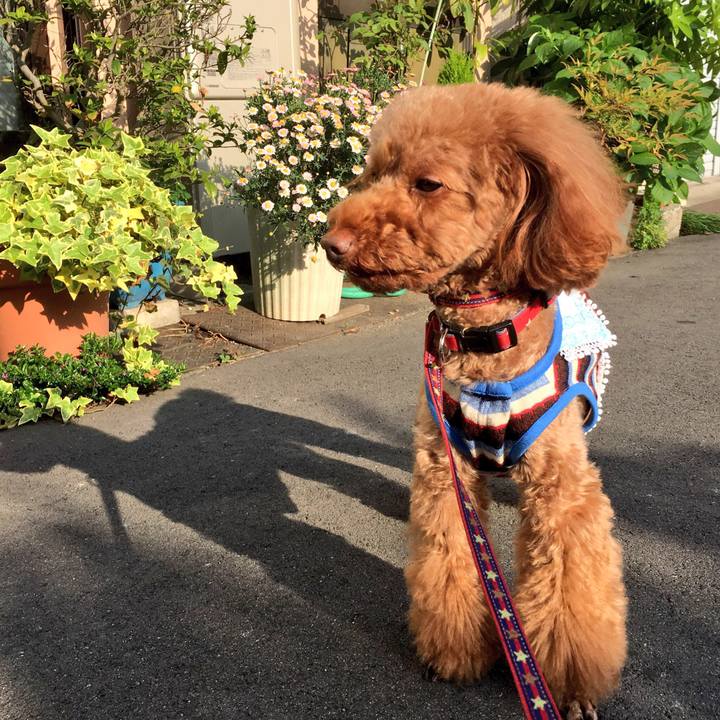 A0364bd2 ae81 4c01 87c7 ba687160e91b