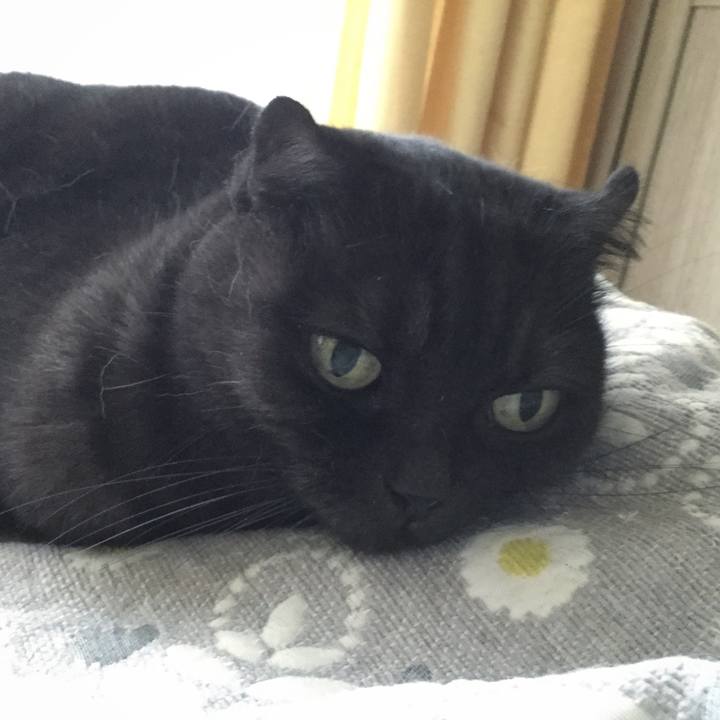 A0367a46 b4ba 4604 87f3 42532b156cea