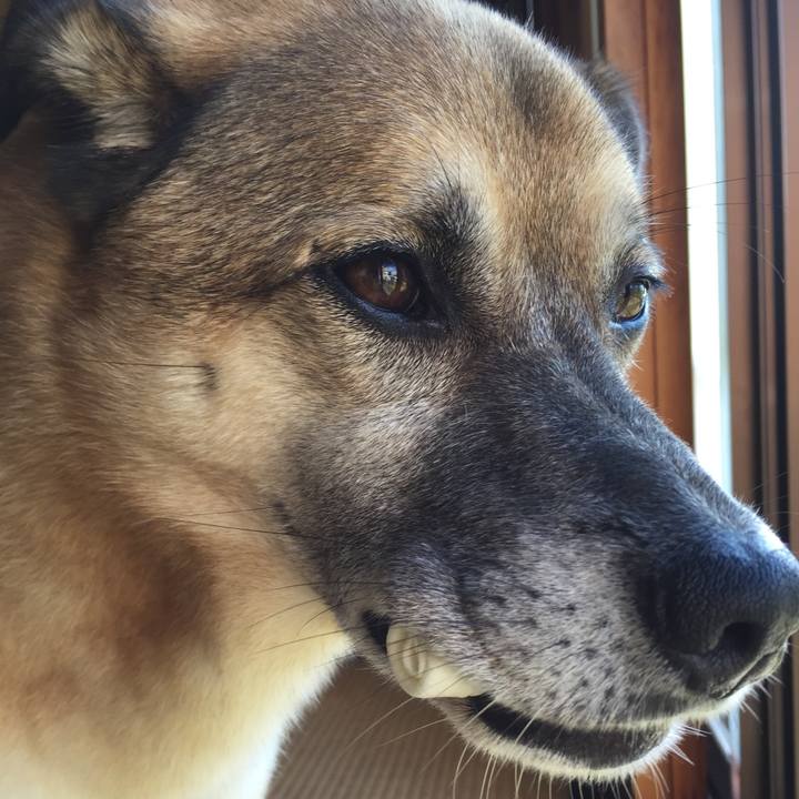 A0368fcb b4f6 469e 8dd2 9570680d4a9b