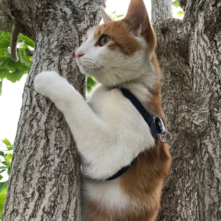 A036fd4a 61fc 4445 835a 338d38e2c8cd