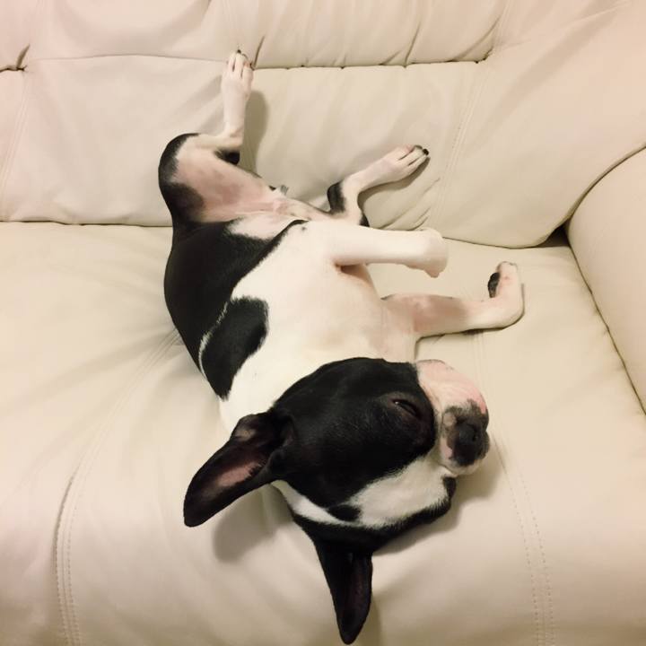 A0377638 cecd 460e 9966 da12e864daa9