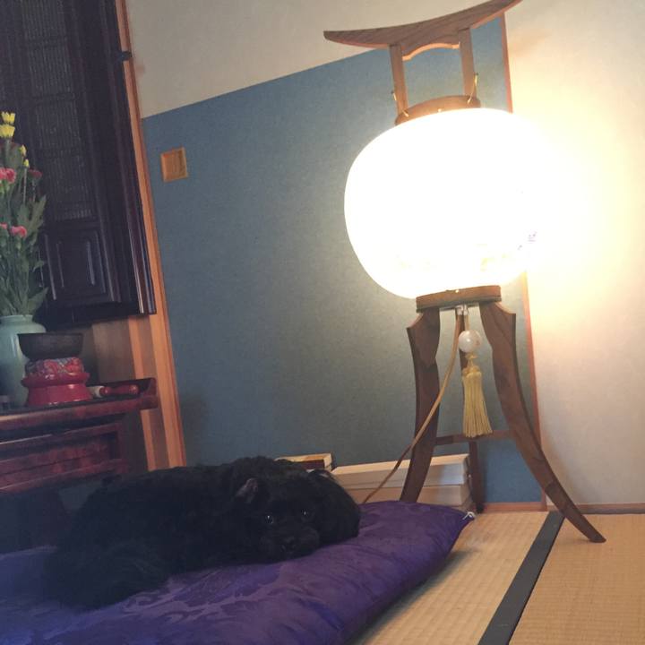 A037c3ec eb24 49a3 8e97 ca6363977578