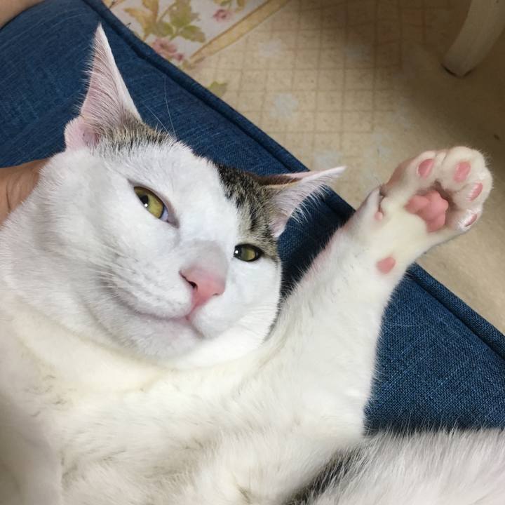 A0386538 7875 4b64 9181 d659c5c7d93c