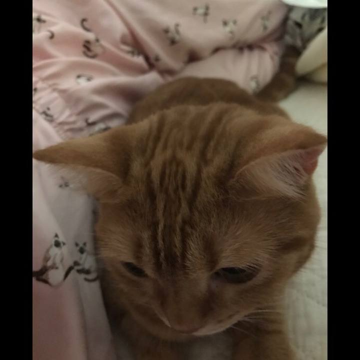 A0392b33 1f2a 4e3a 9ed0 3f5ebf9a29a3