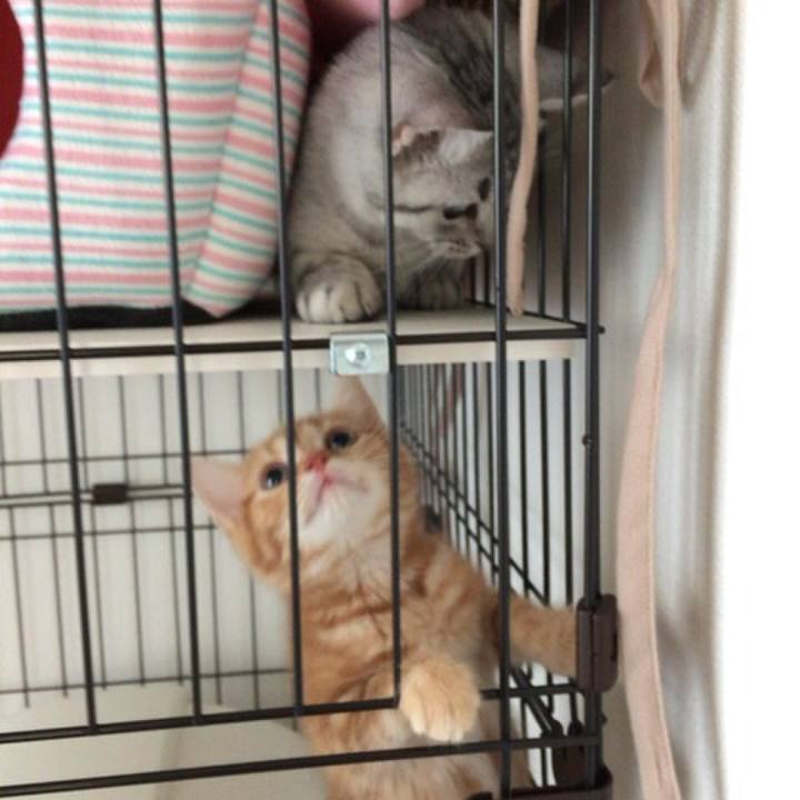 A0395390 89da 4aad a333 ee75f78dc27a