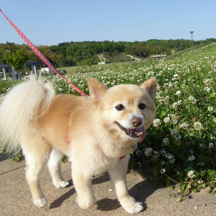 A0397a47 4189 4c60 9247 7225af23a402