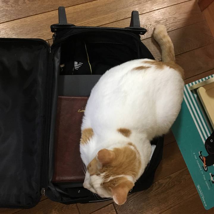 A0399c67 a908 4bb4 b12f 3456d7474fb1