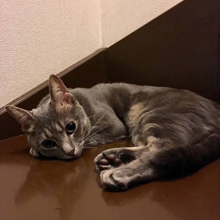 A039a8bd 2626 4ede 924b c27e8ecd5b7e