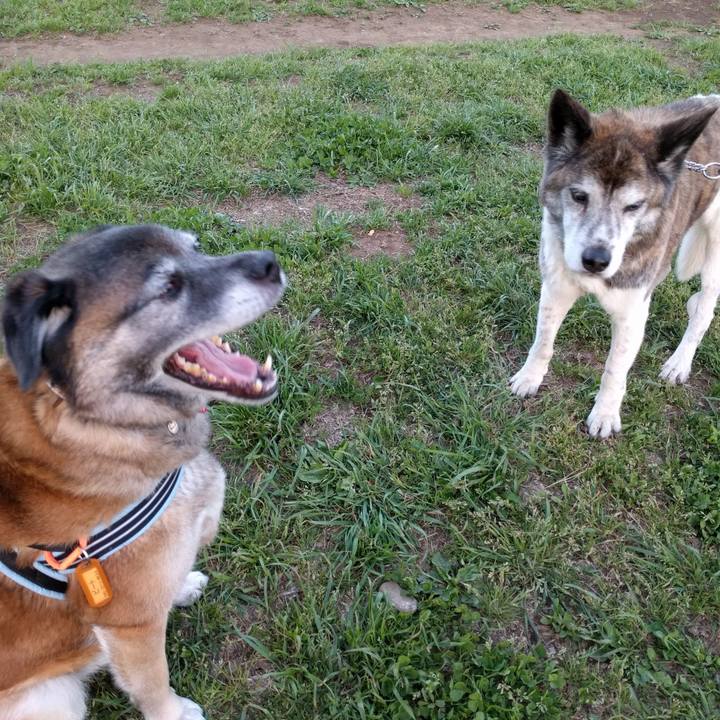 A039d1d6 c72e 4655 aaff 422a82eee28f