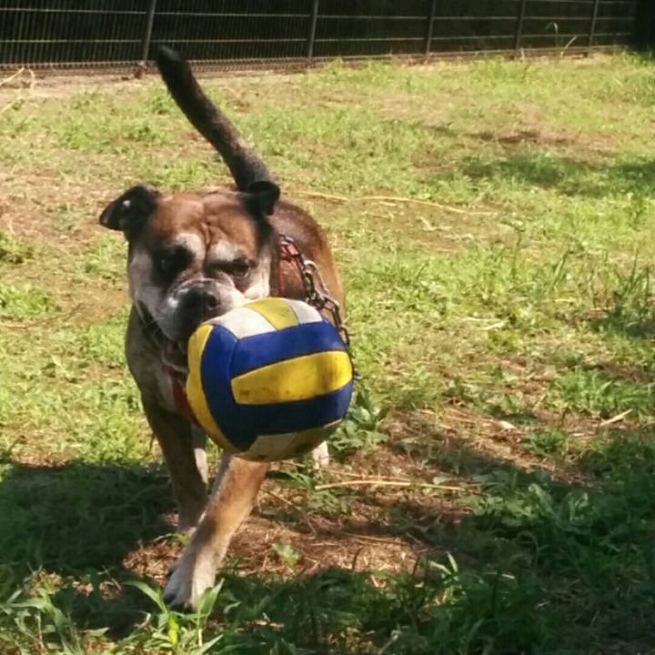 A039df32 b1c4 4068 b4c5 0f03d6e0edb5