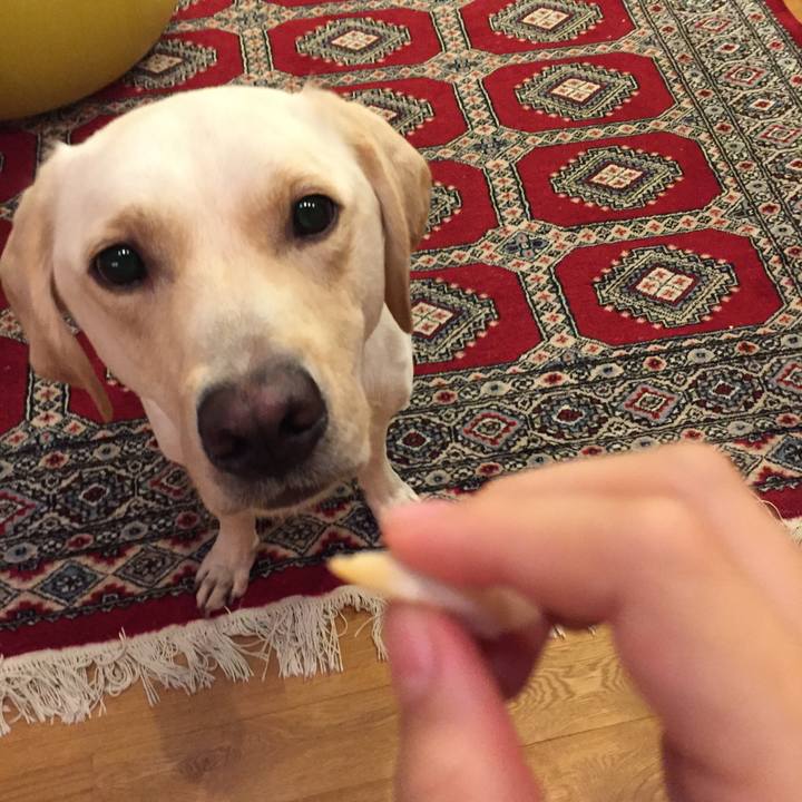 A03a2475 4ae9 46fa 89ae a654950bb020