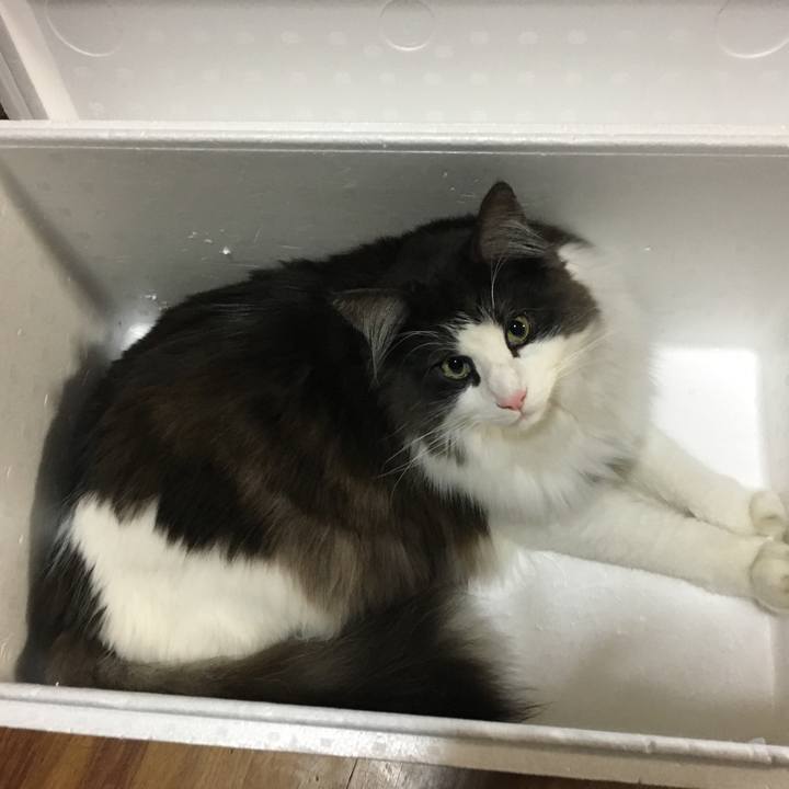 A03a41f1 abbd 4b5d ae10 cb0e48eafd47