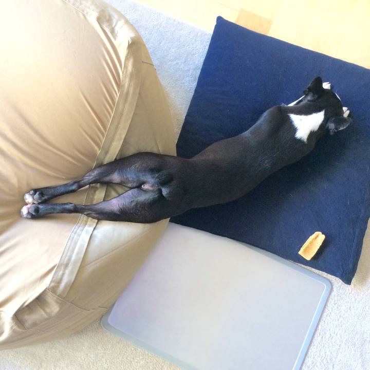 A03b38e5 b1cd 4989 9df5 0e4fb9535bf8