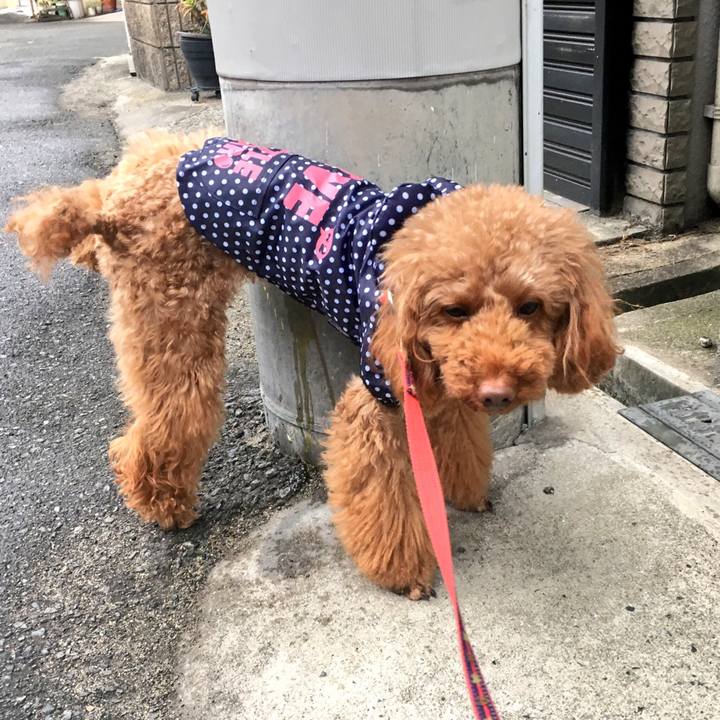 A03b5f9a f584 4fd3 a247 fb8d9b770779